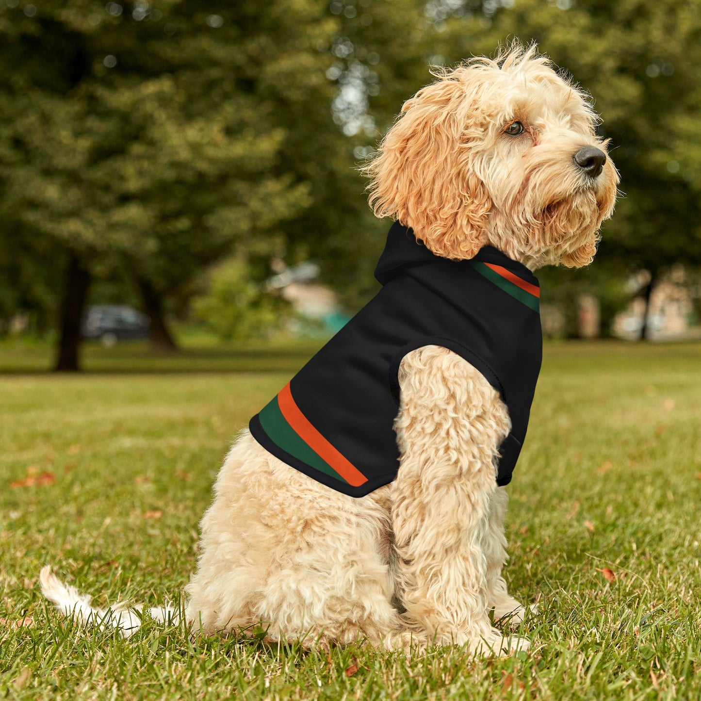 Tricou Pet Hoodie