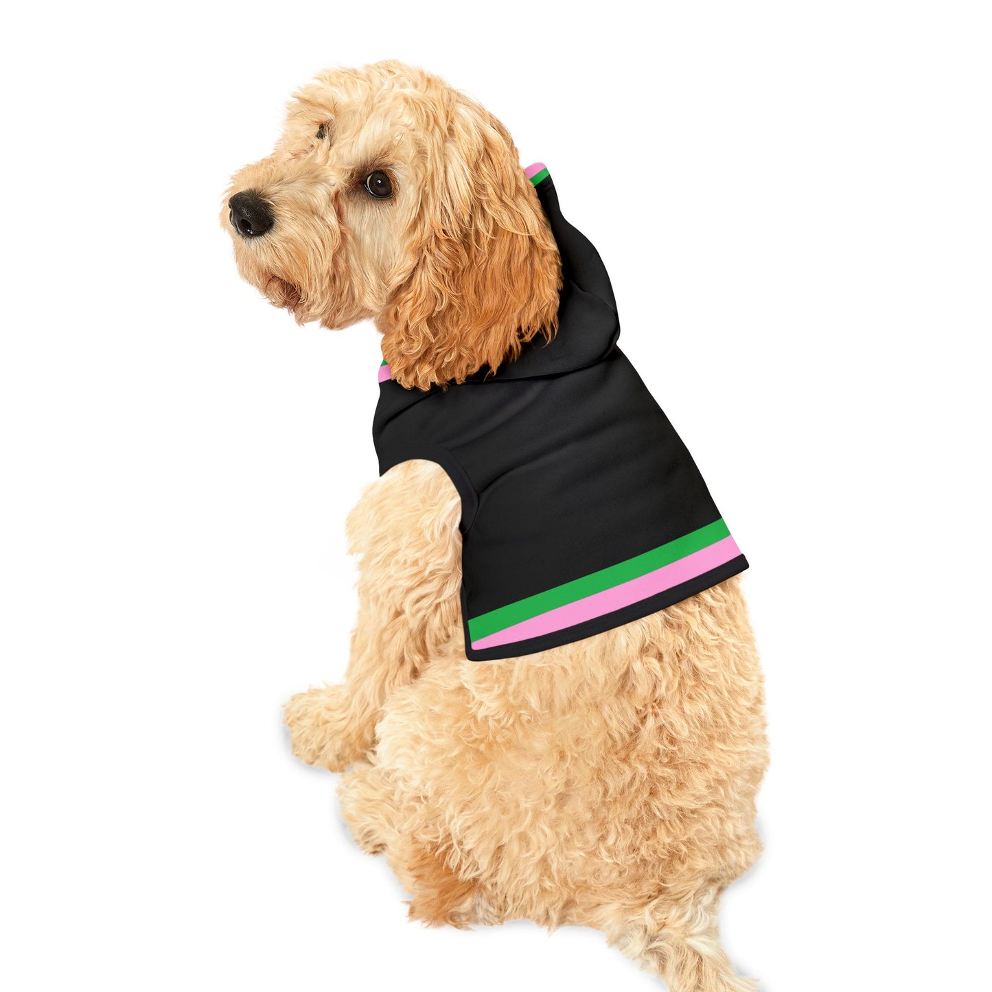 Lacombe Pet Hoodie