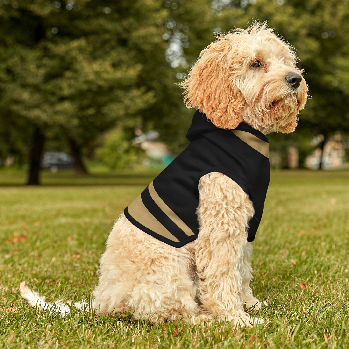Charbonnet Pet Hoodie