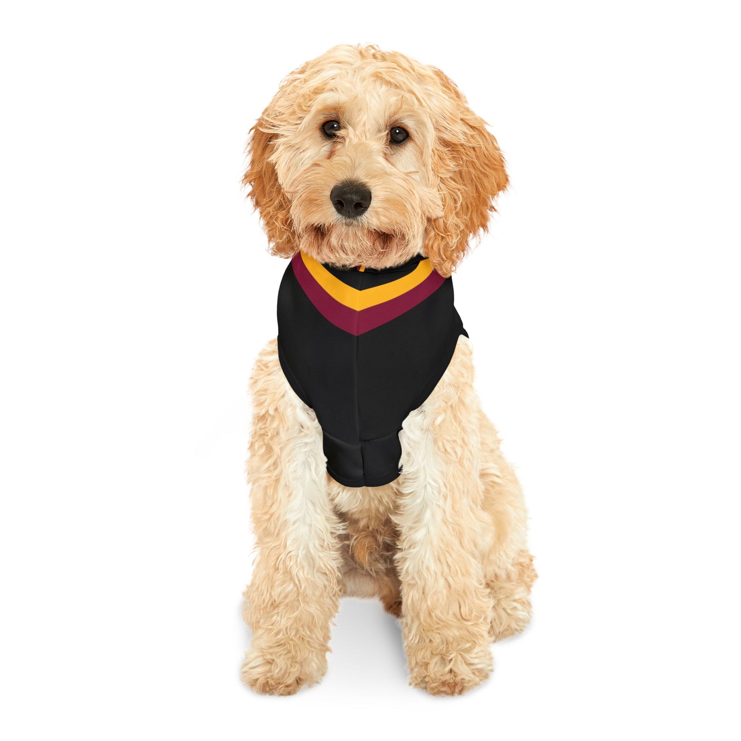 Warfield Pet Hoodie