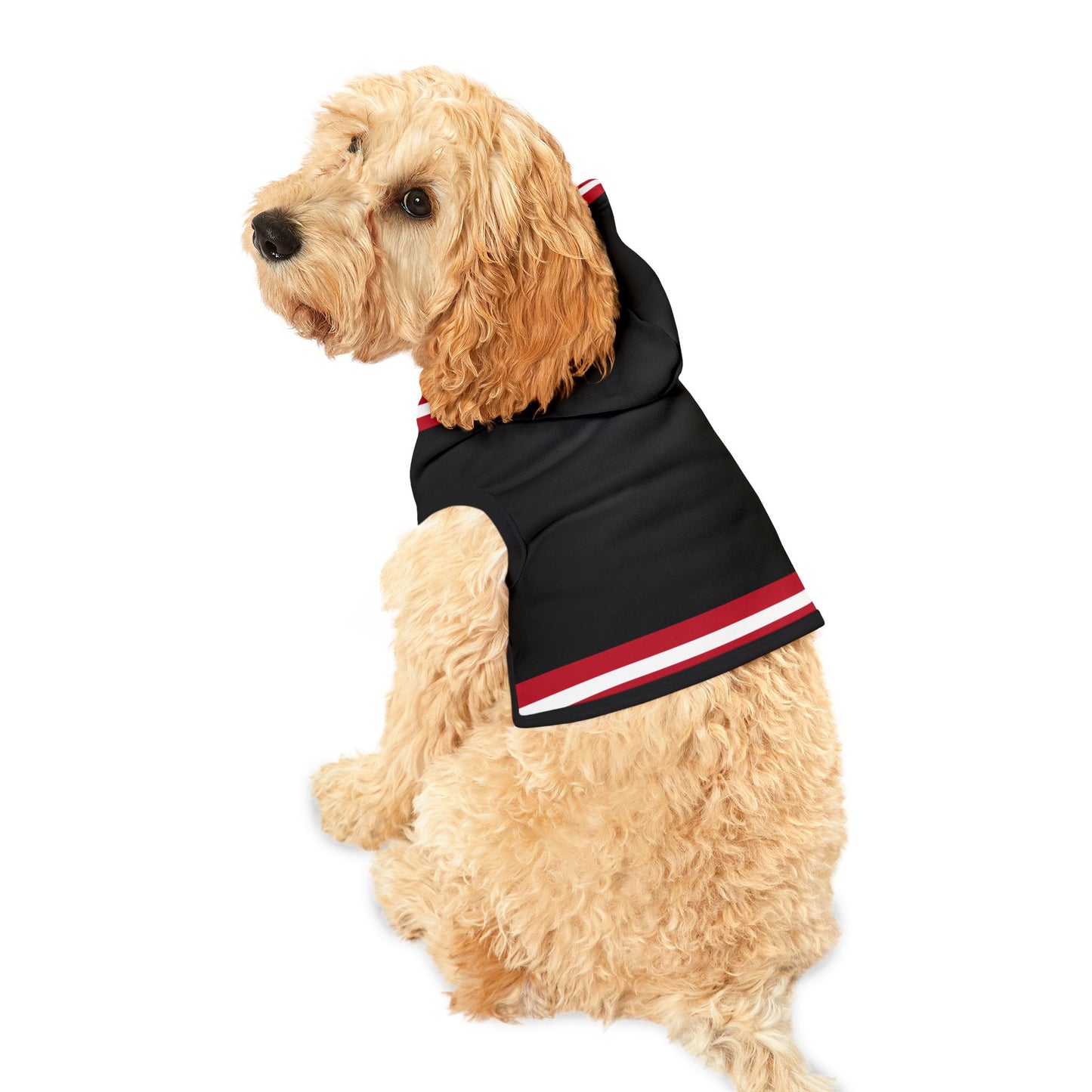 Piety Pet Hoodie