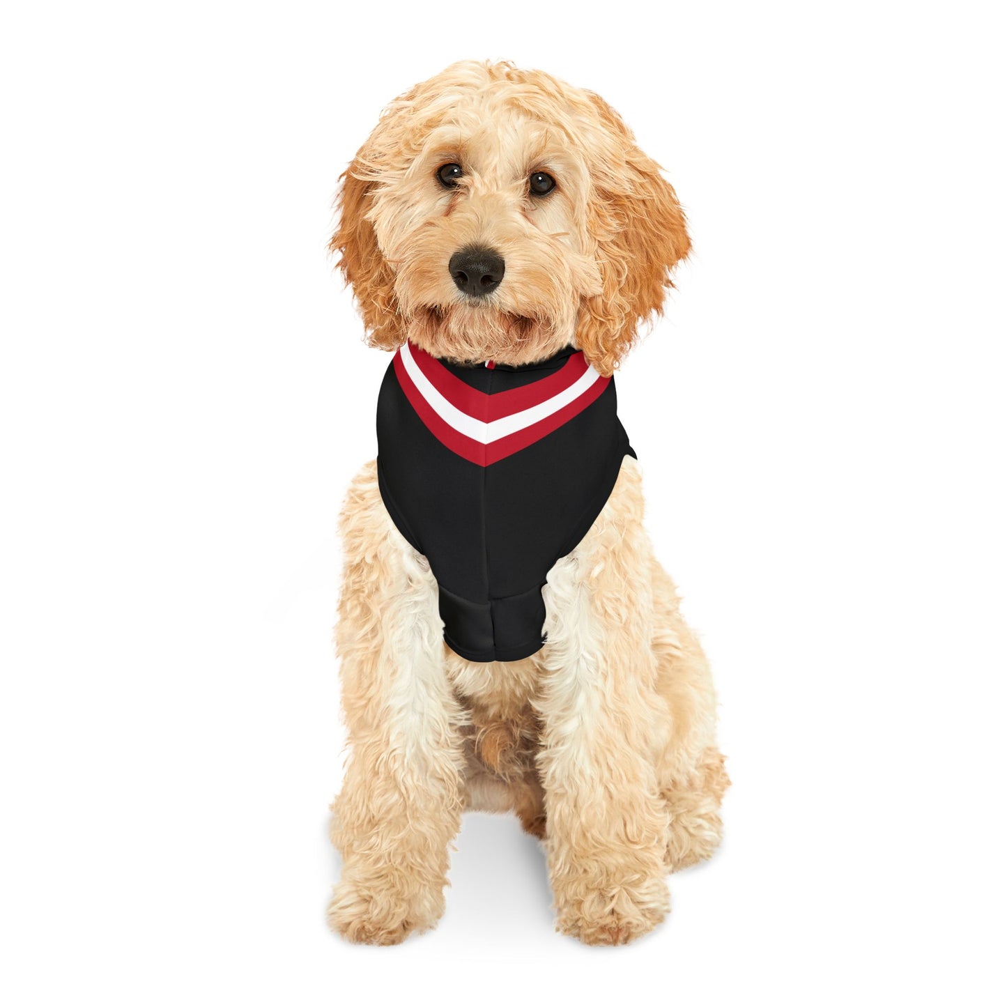 Piety Pet Hoodie