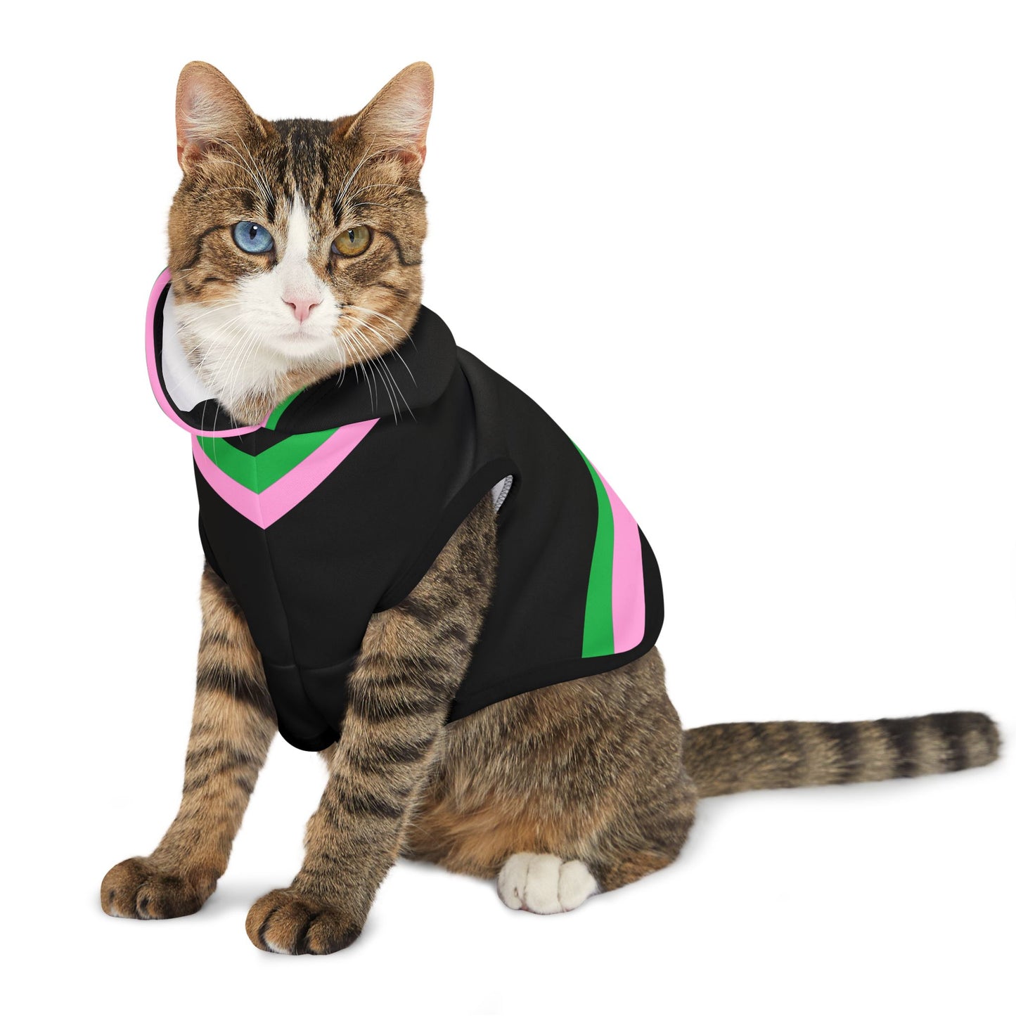 Lacombe Pet Hoodie