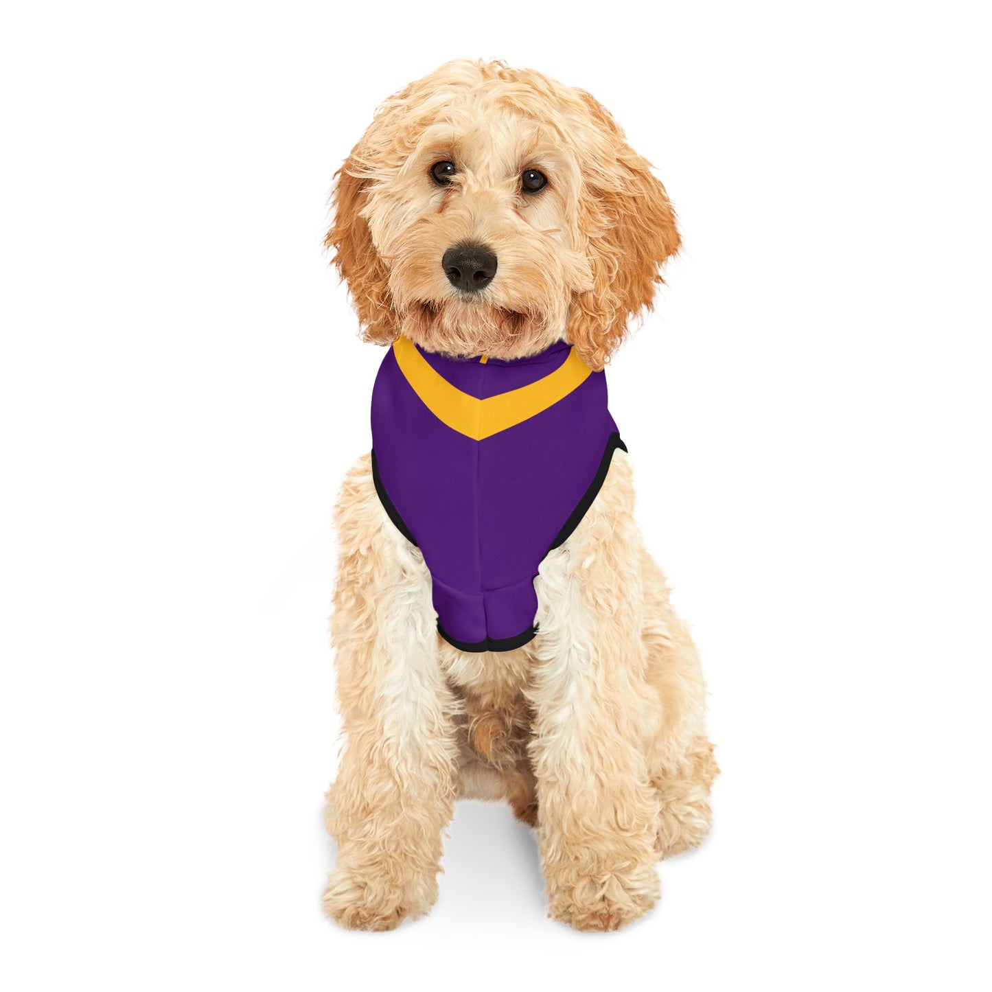 Mazant Pet Hoodie