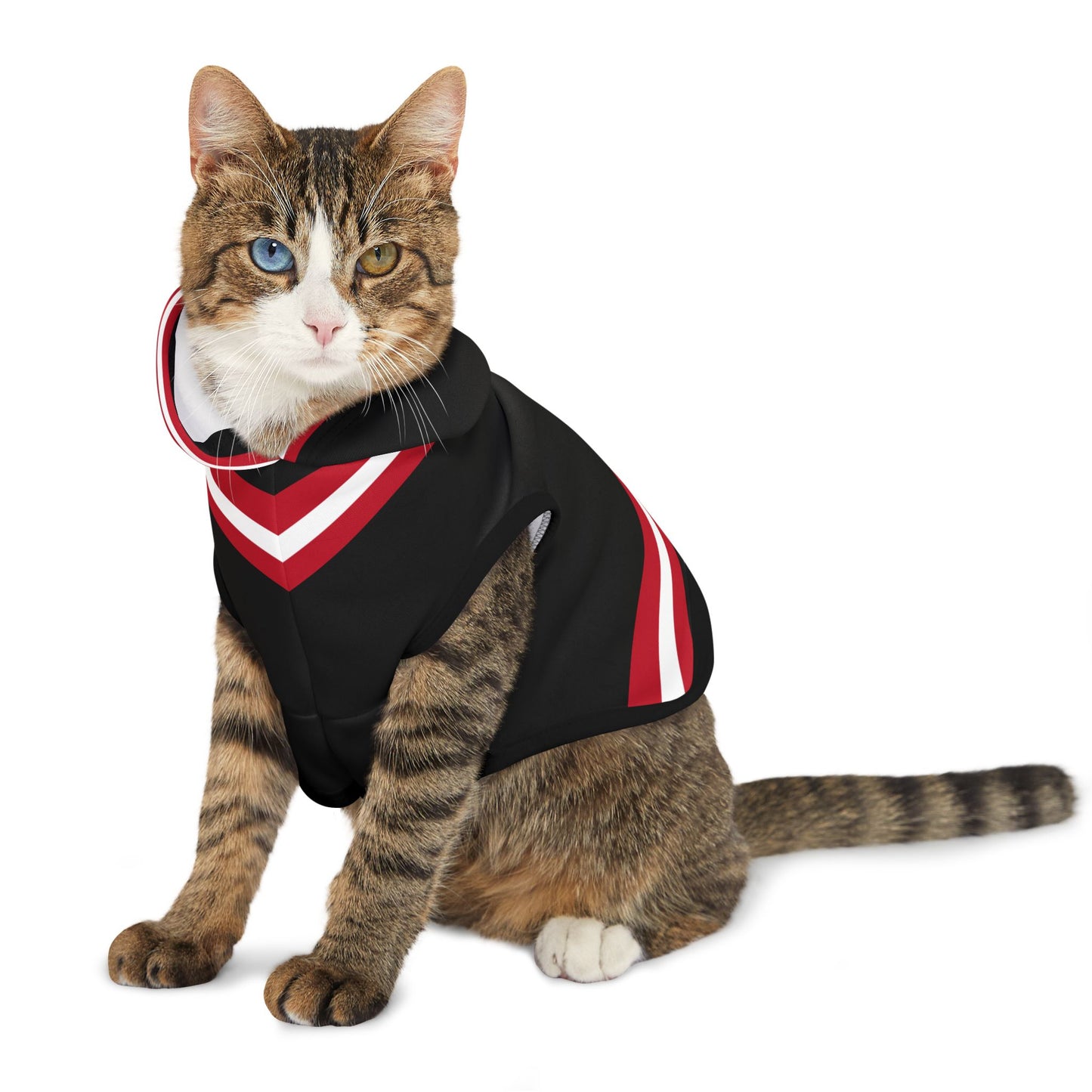 Piety Pet Hoodie
