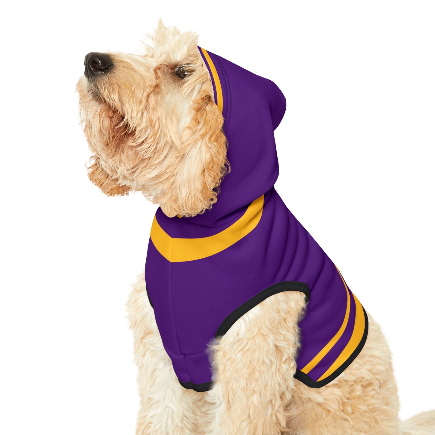 Mazant Pet Hoodie