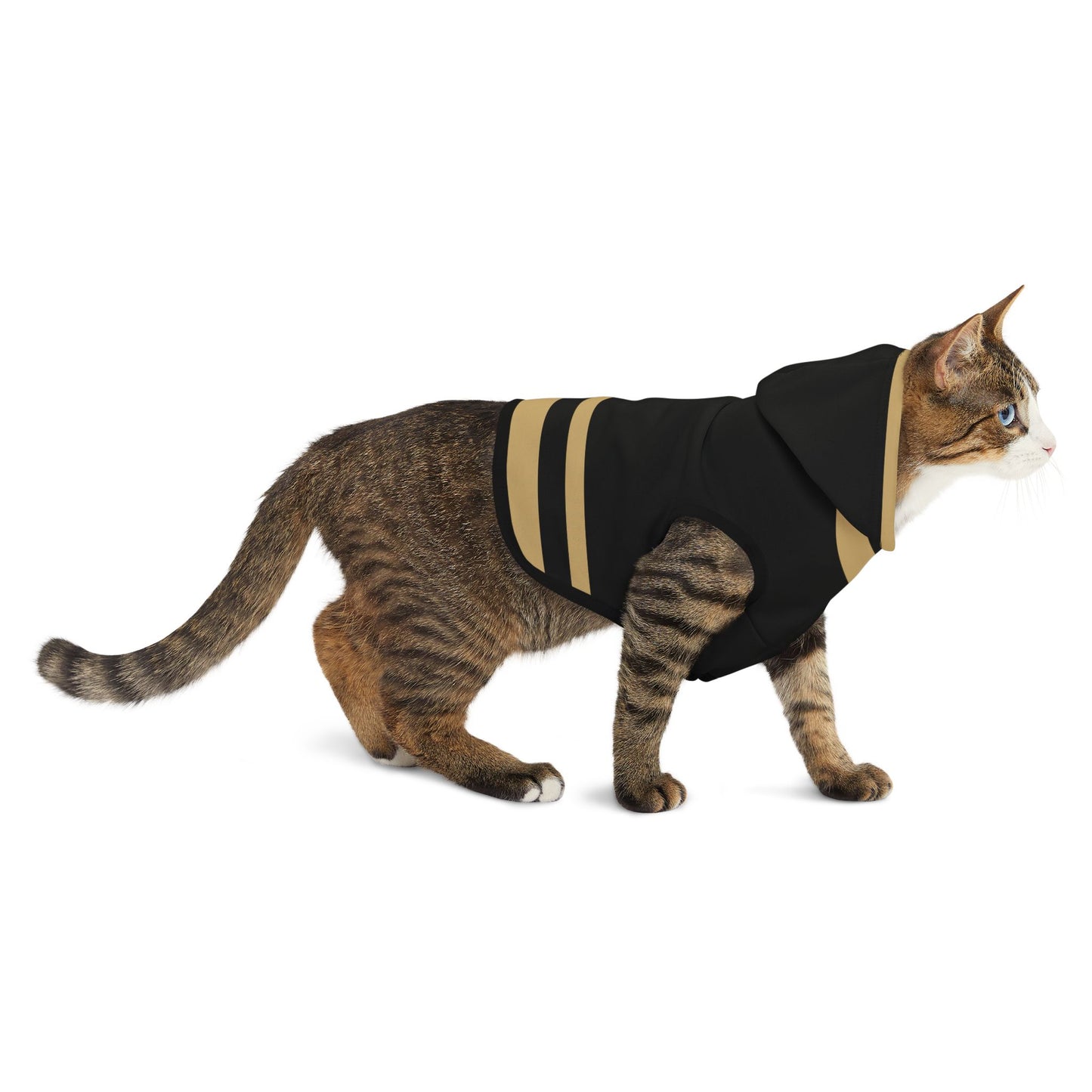 Charbonnet Pet Hoodie