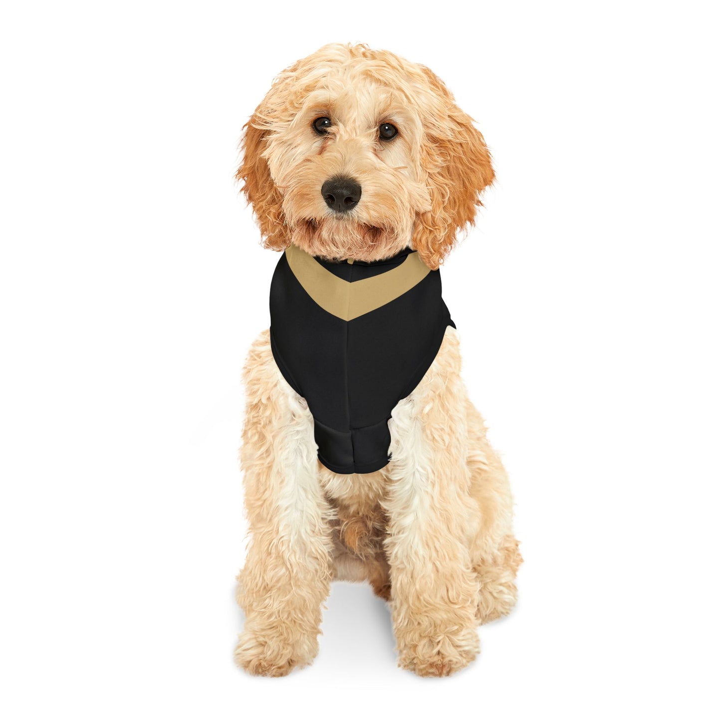 Charbonnet Pet Hoodie