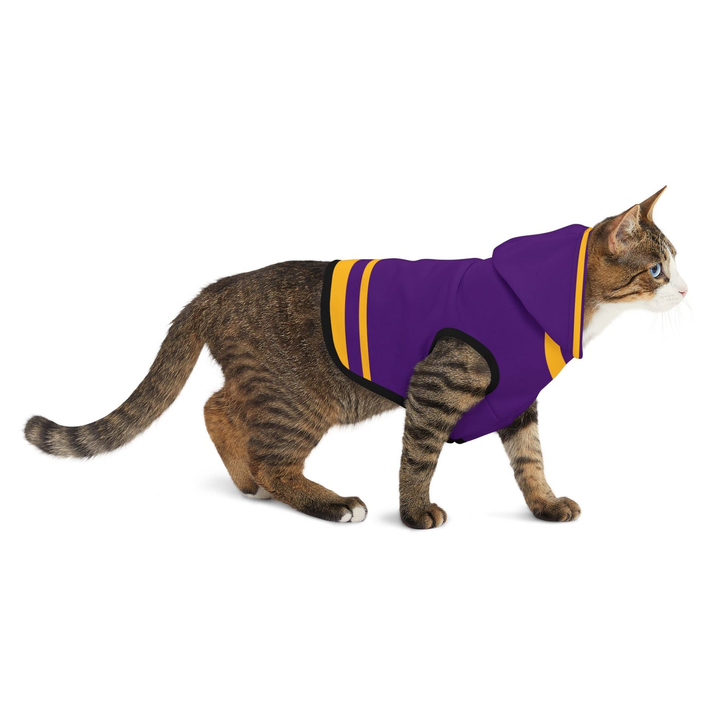 Mazant Pet Hoodie