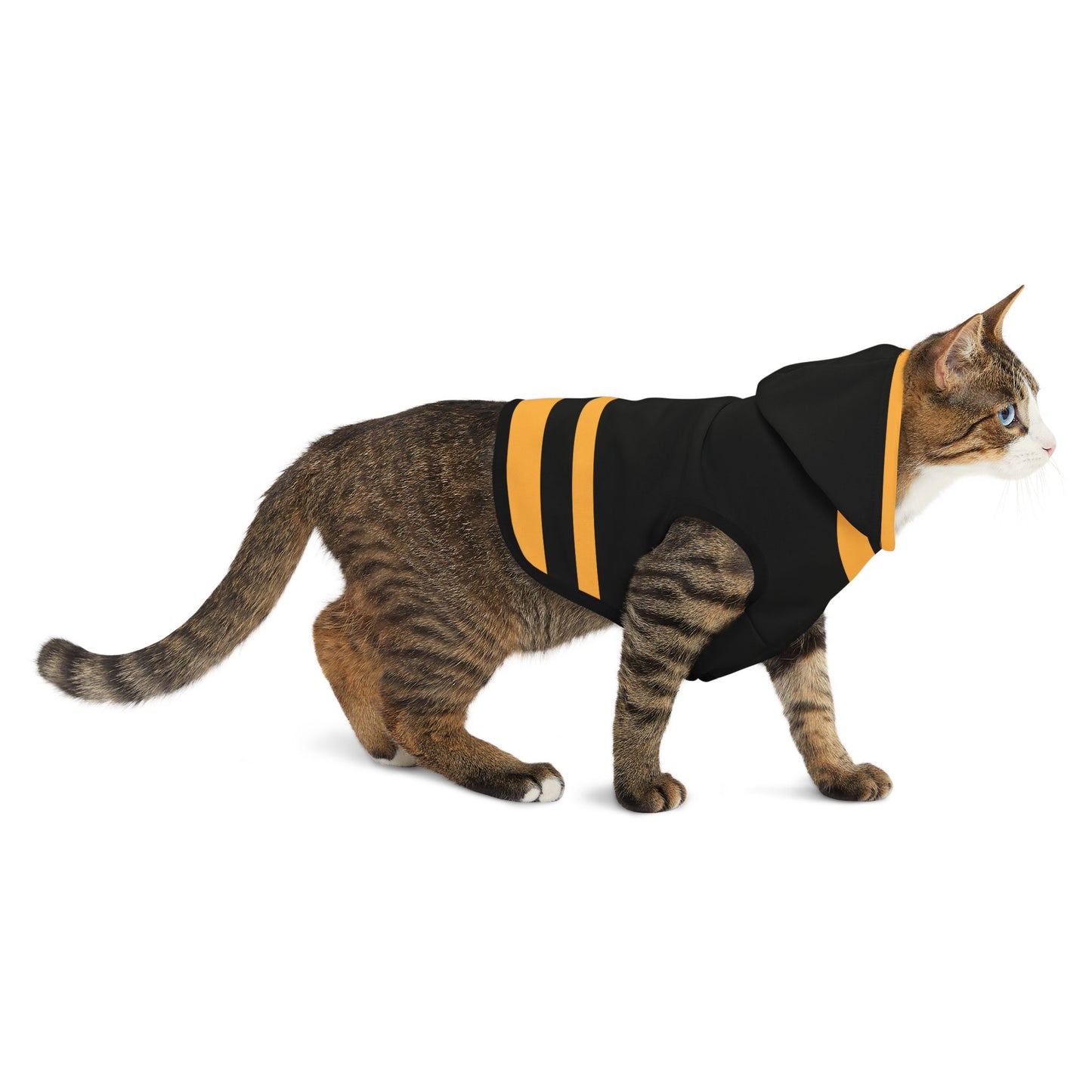 Chartres Pet Hoodie