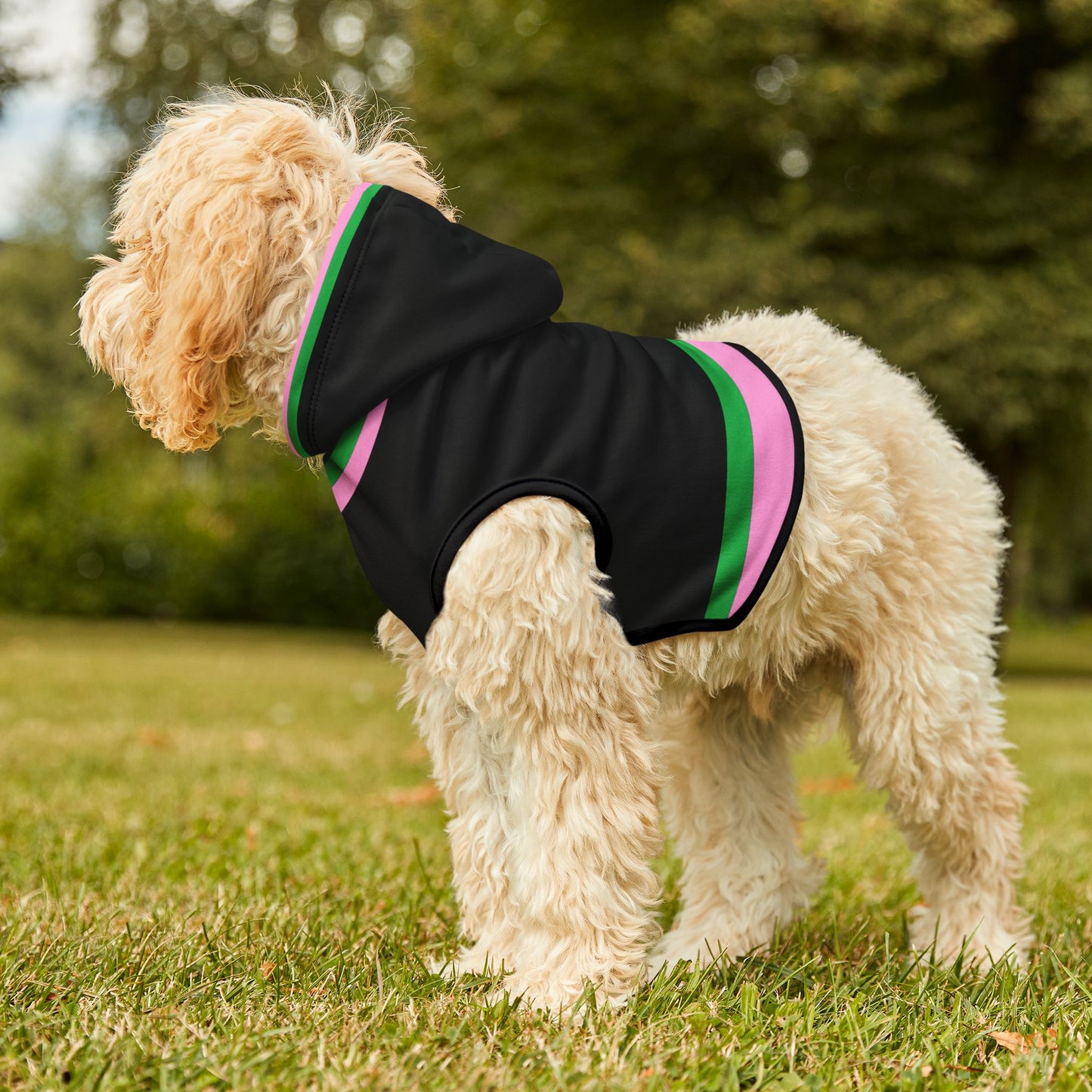 Lacombe Pet Hoodie