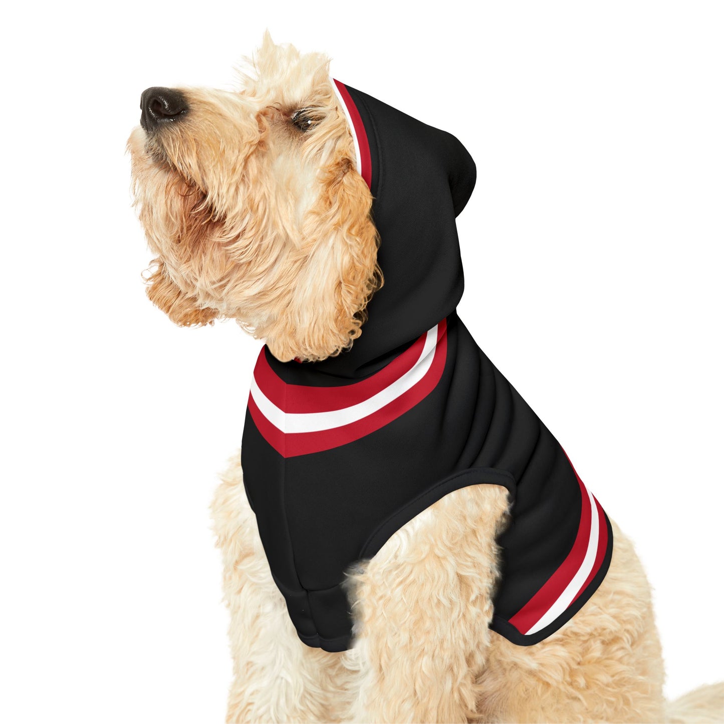Piety Pet Hoodie