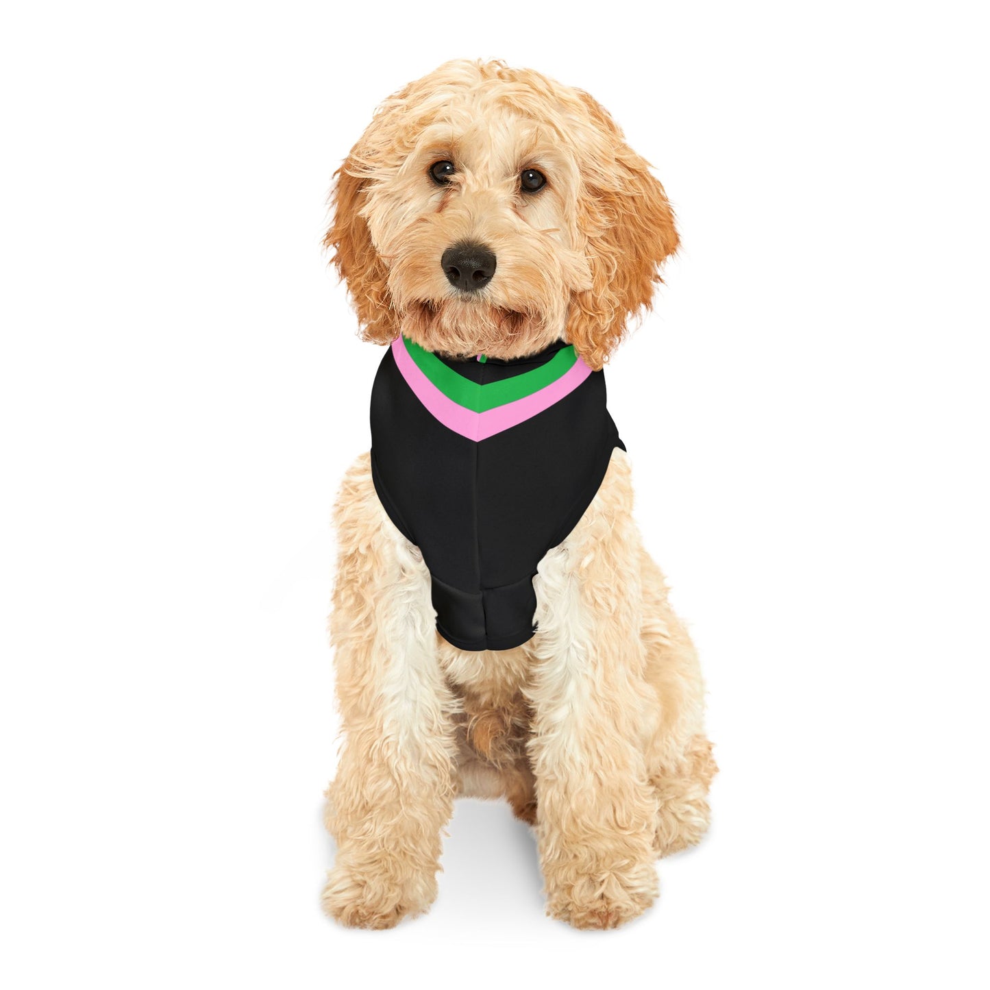 Lacombe Pet Hoodie