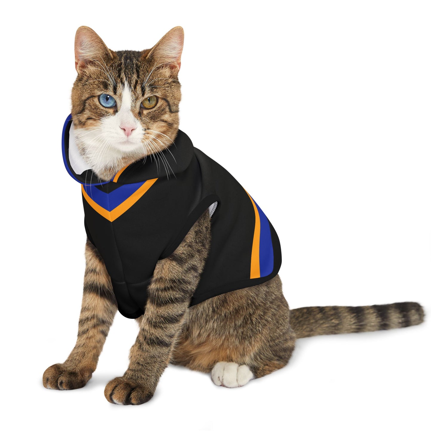 OKeefe Pet Hoodie