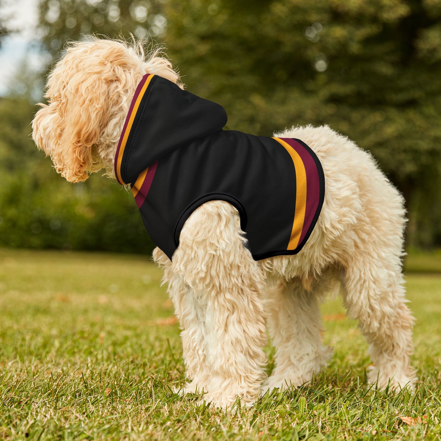 Warfield Pet Hoodie