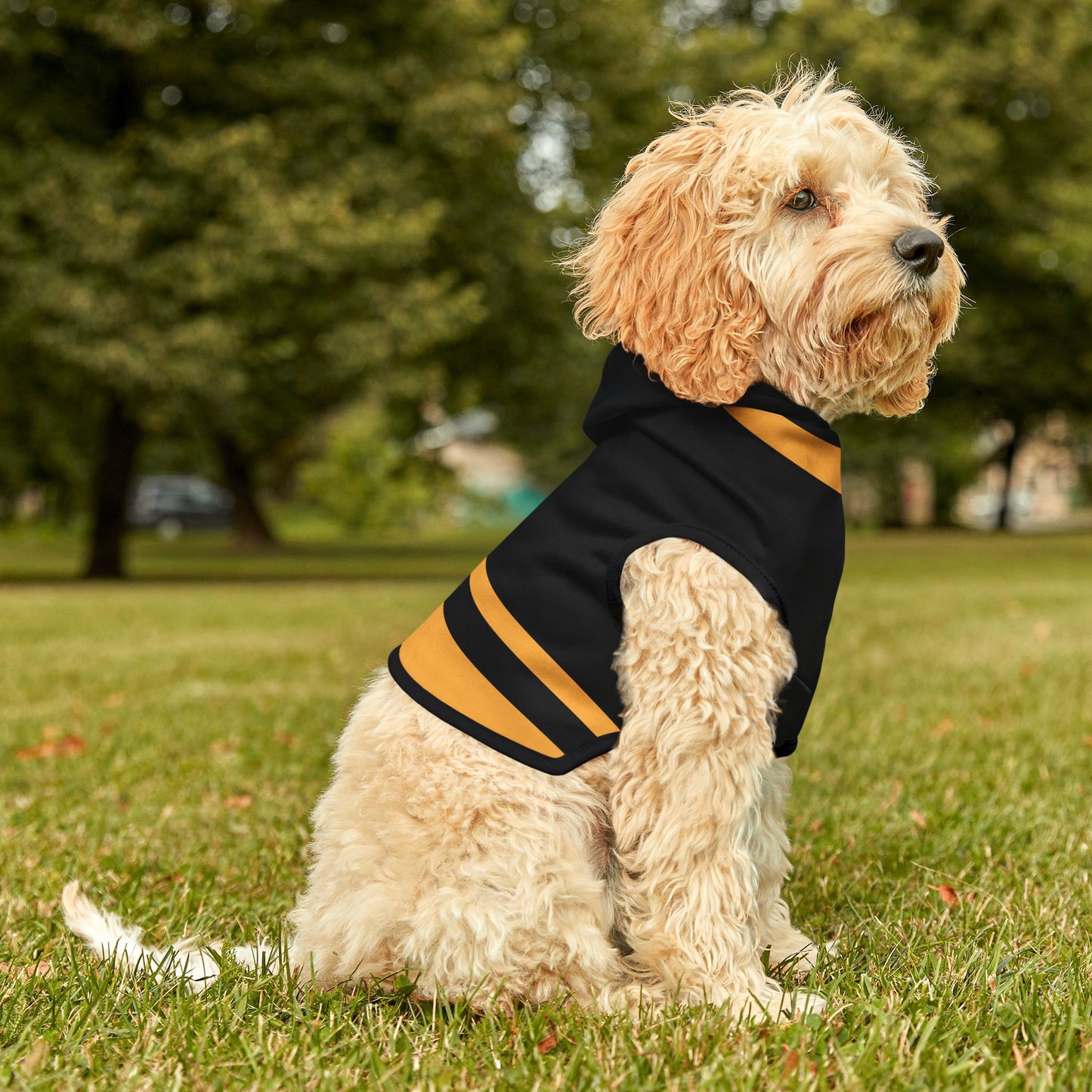 Chartres Pet Hoodie