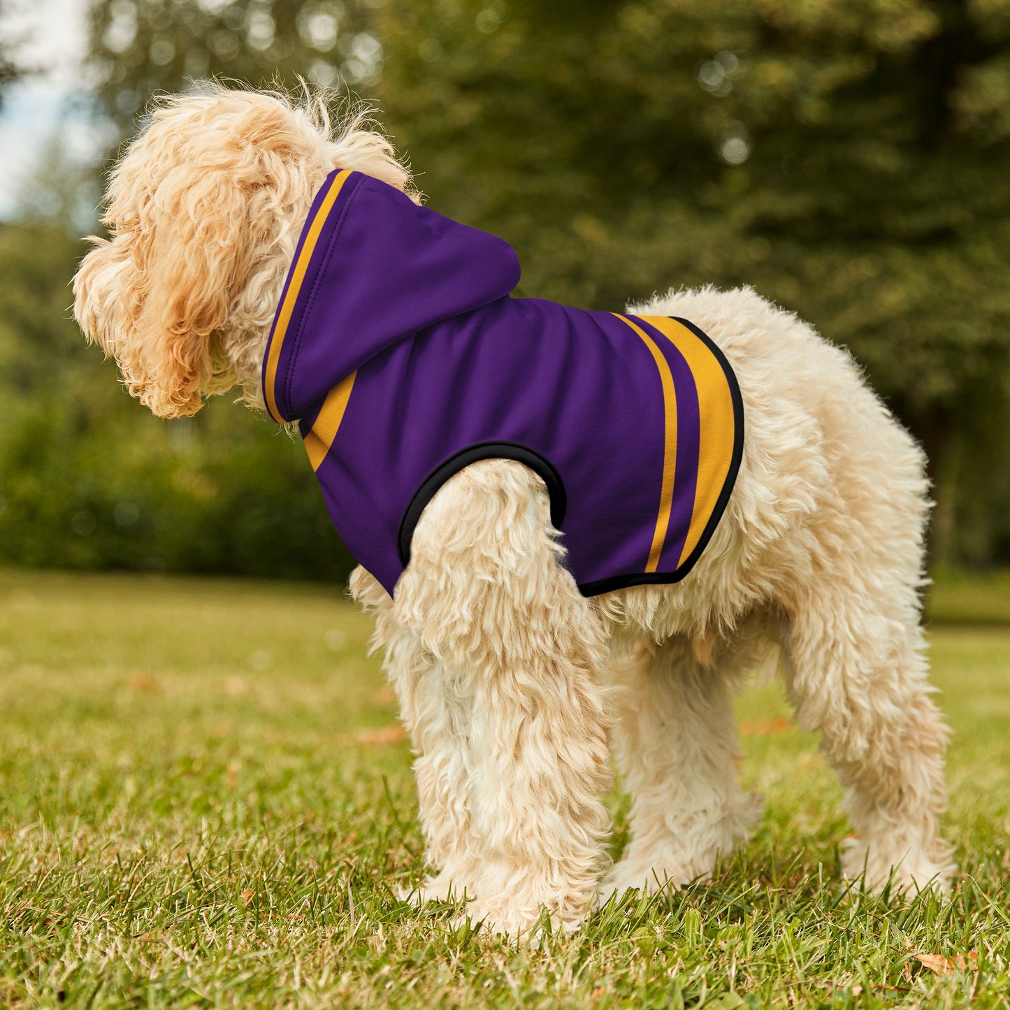 Mazant Pet Hoodie