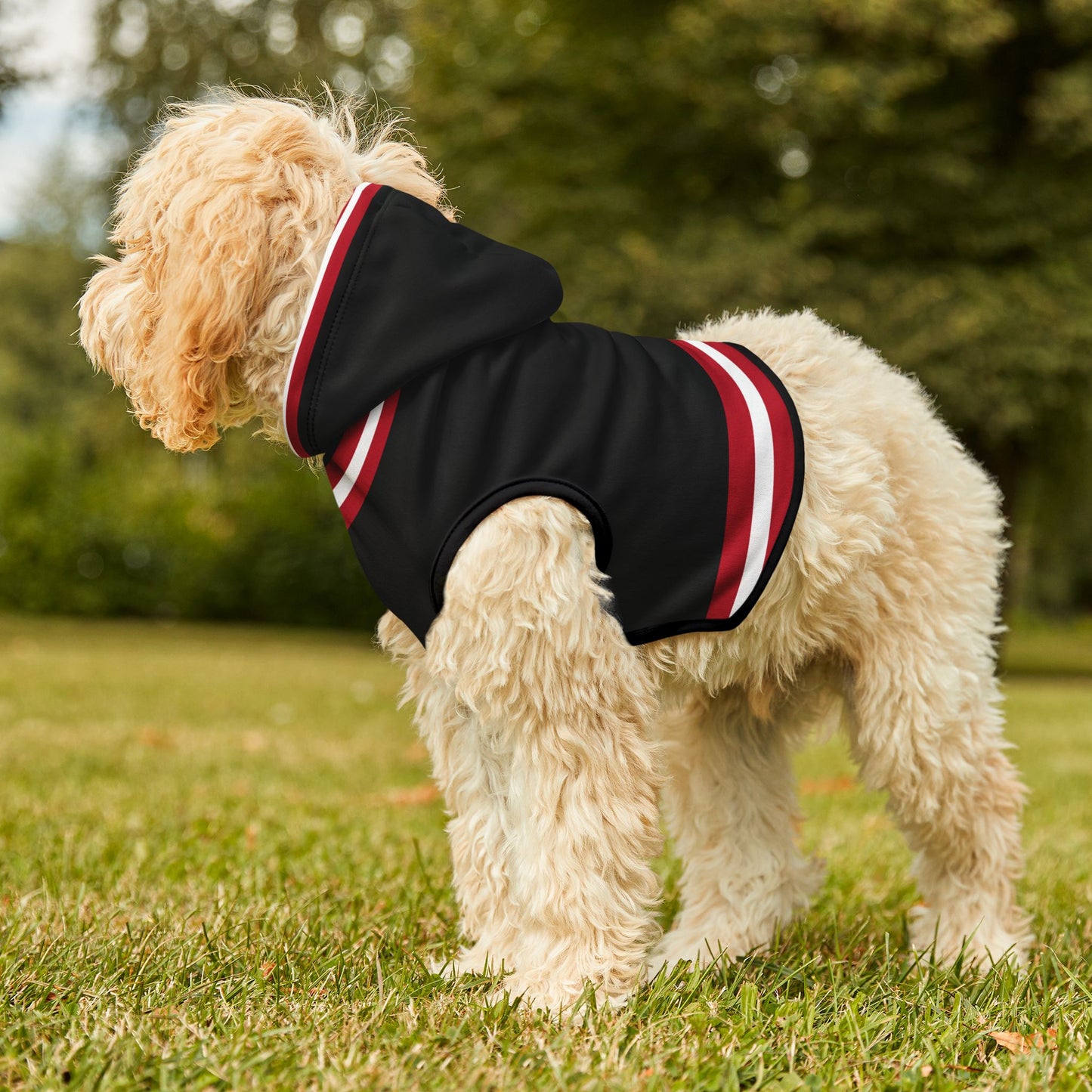 Piety Pet Hoodie