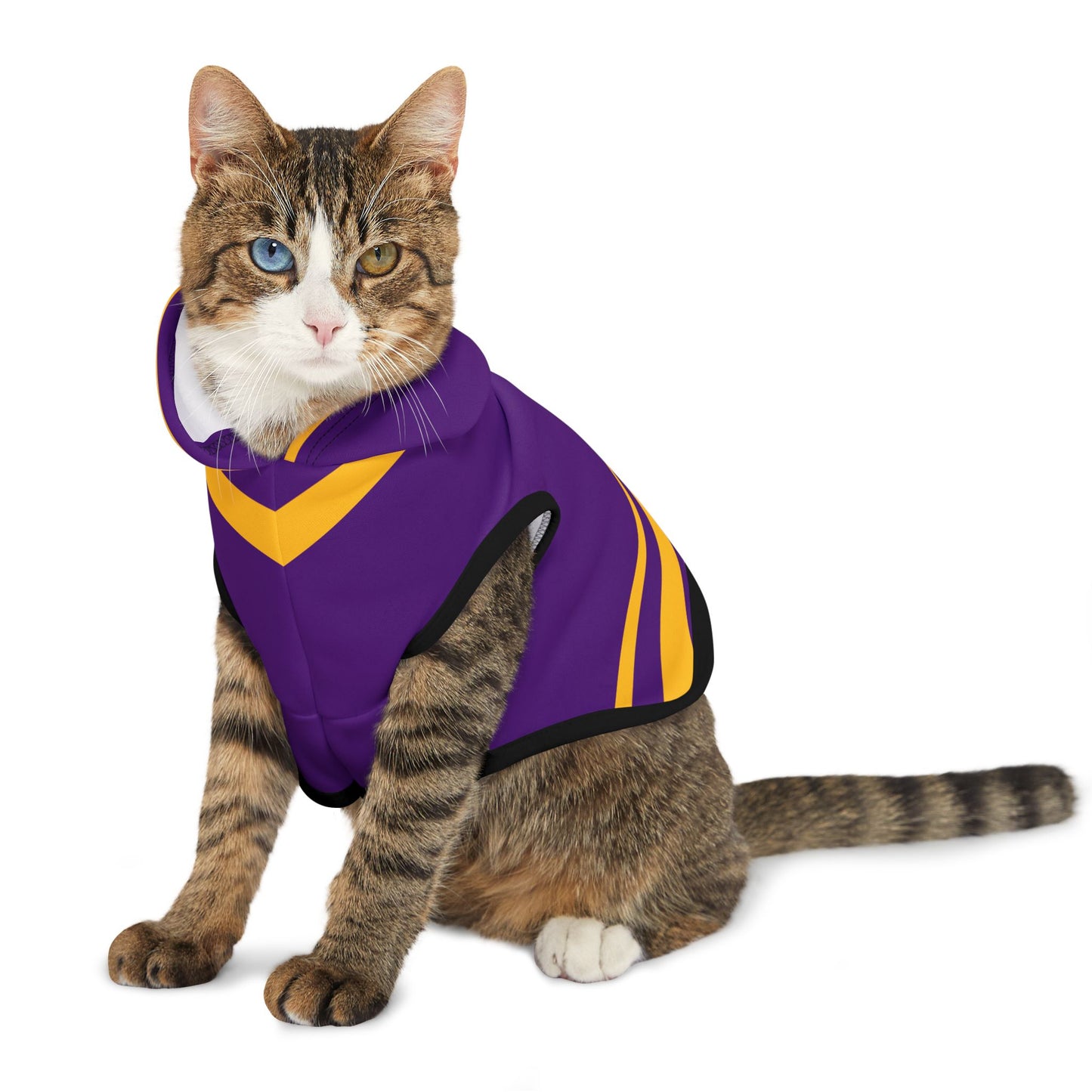 Mazant Pet Hoodie