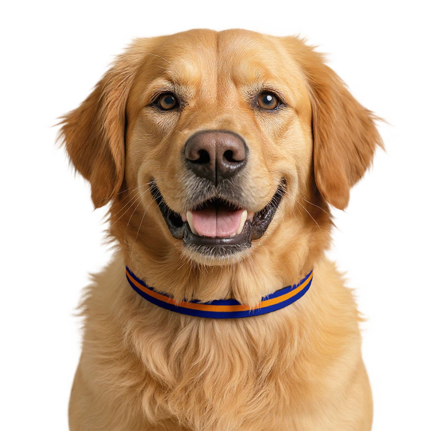 OKeefe Pet Collar