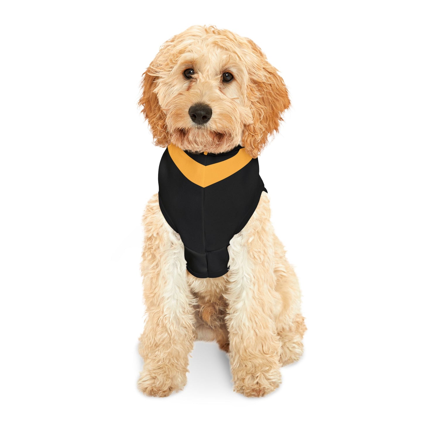 Chartres Pet Hoodie