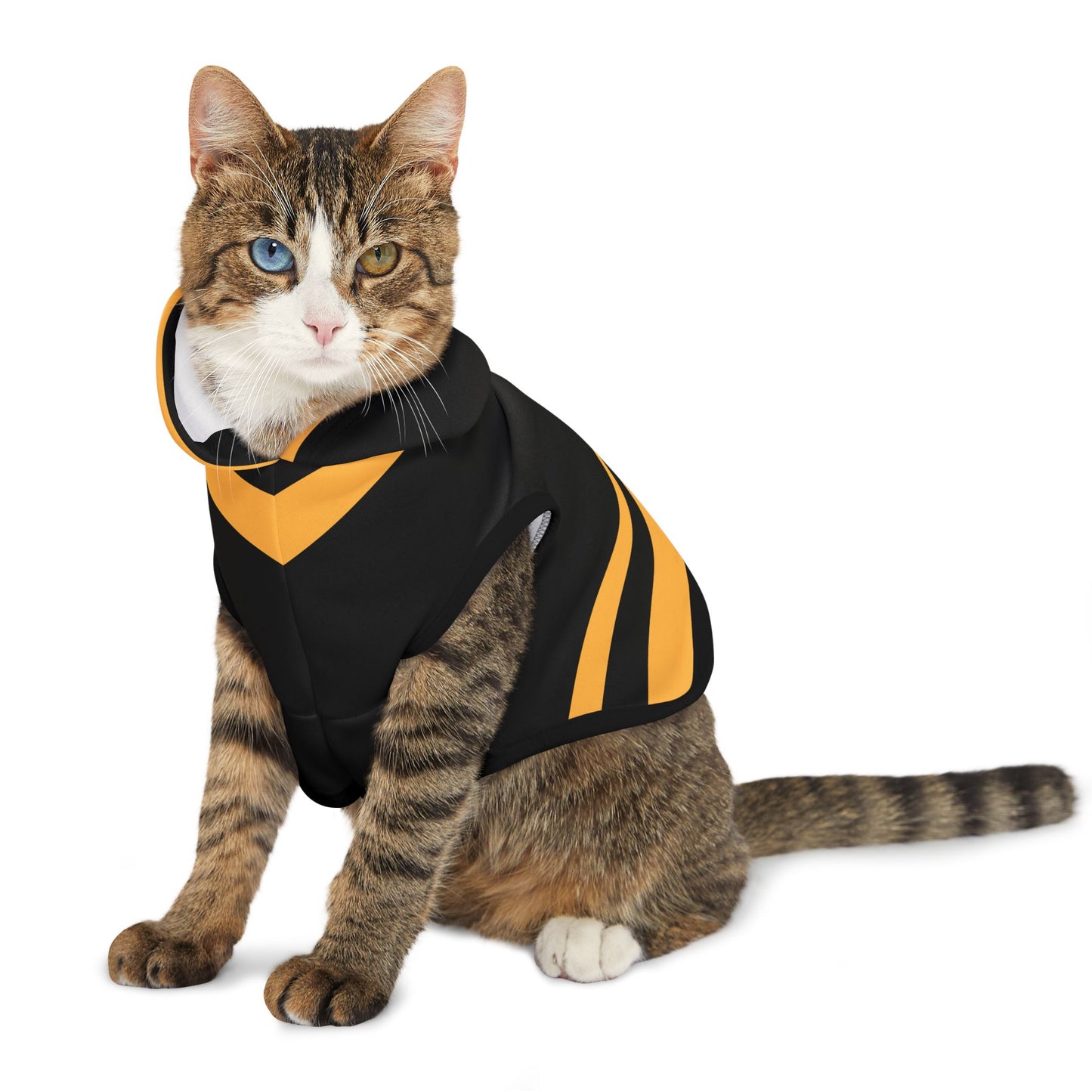 Chartres Pet Hoodie