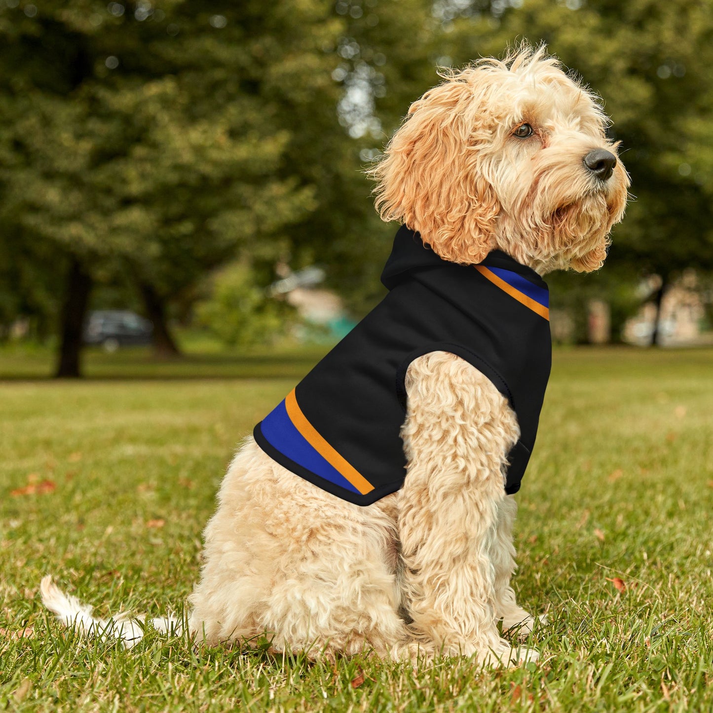 OKeefe Pet Hoodie