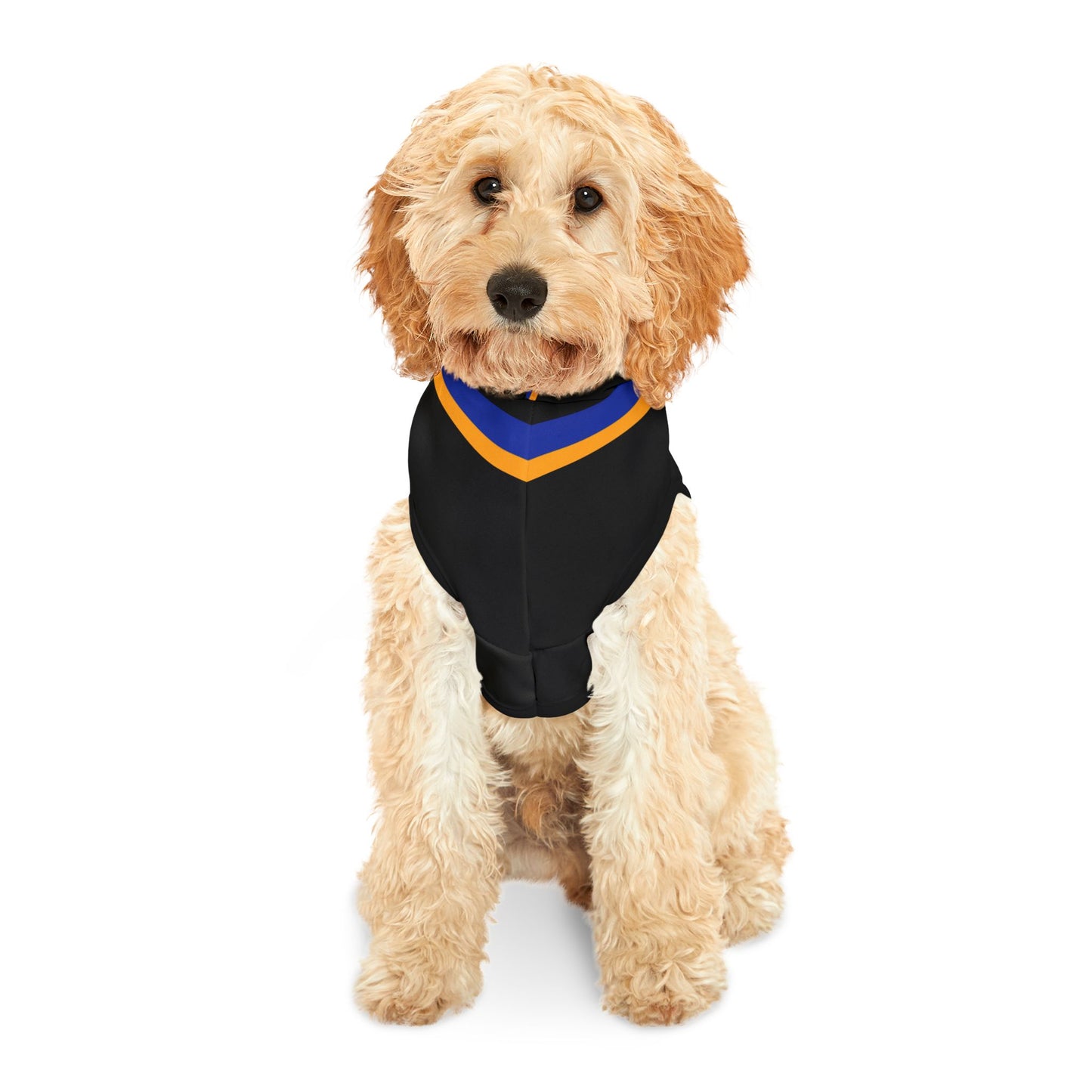 OKeefe Pet Hoodie