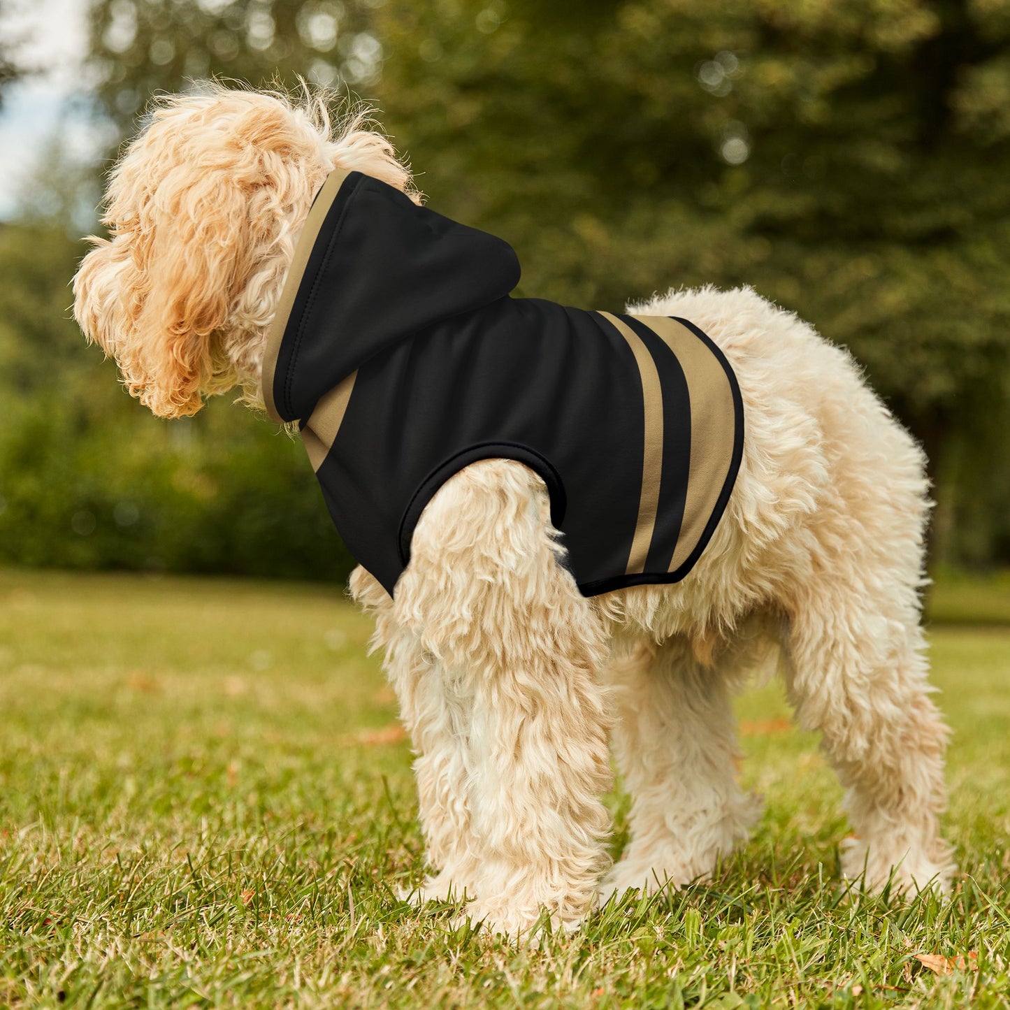 Charbonnet Pet Hoodie