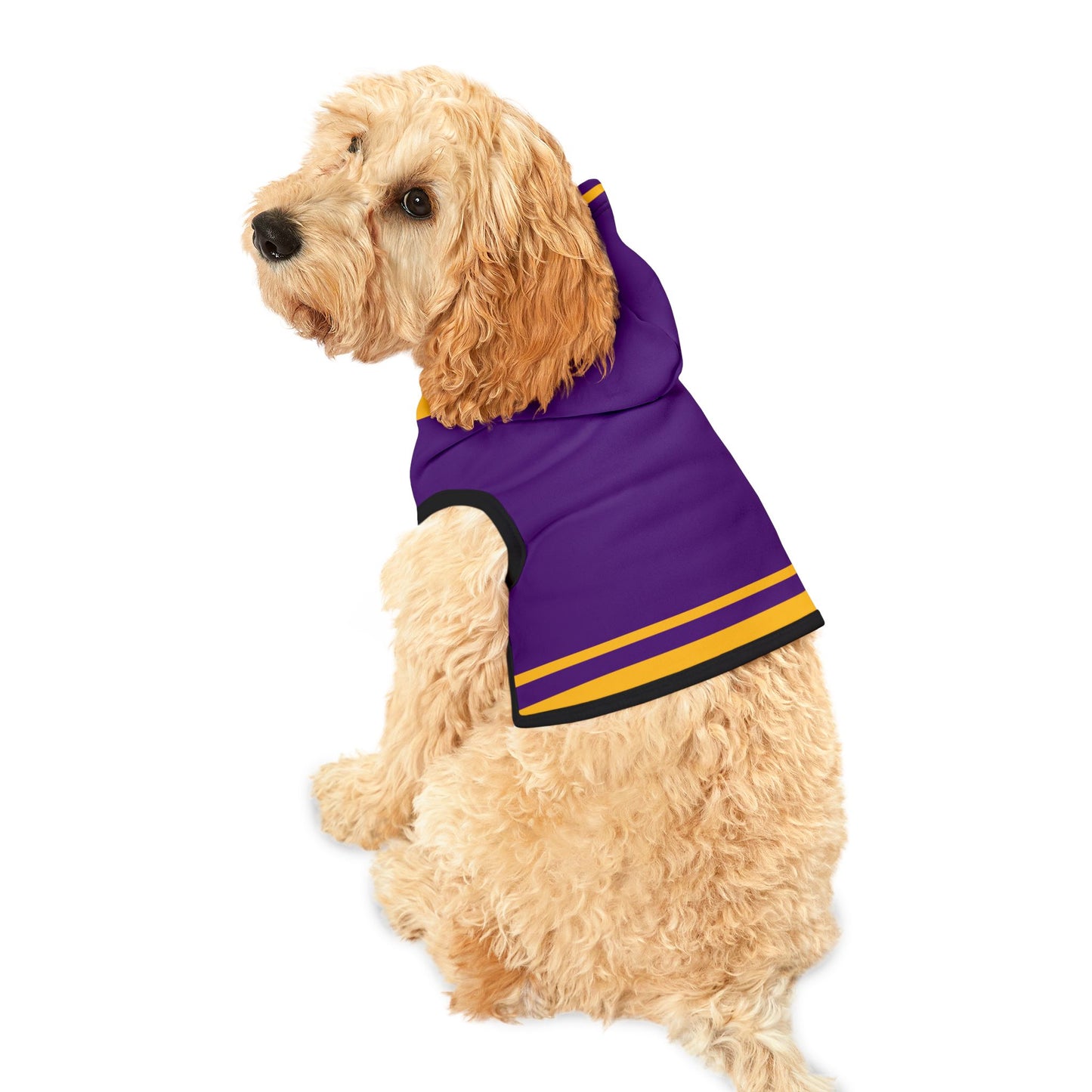 Mazant Pet Hoodie