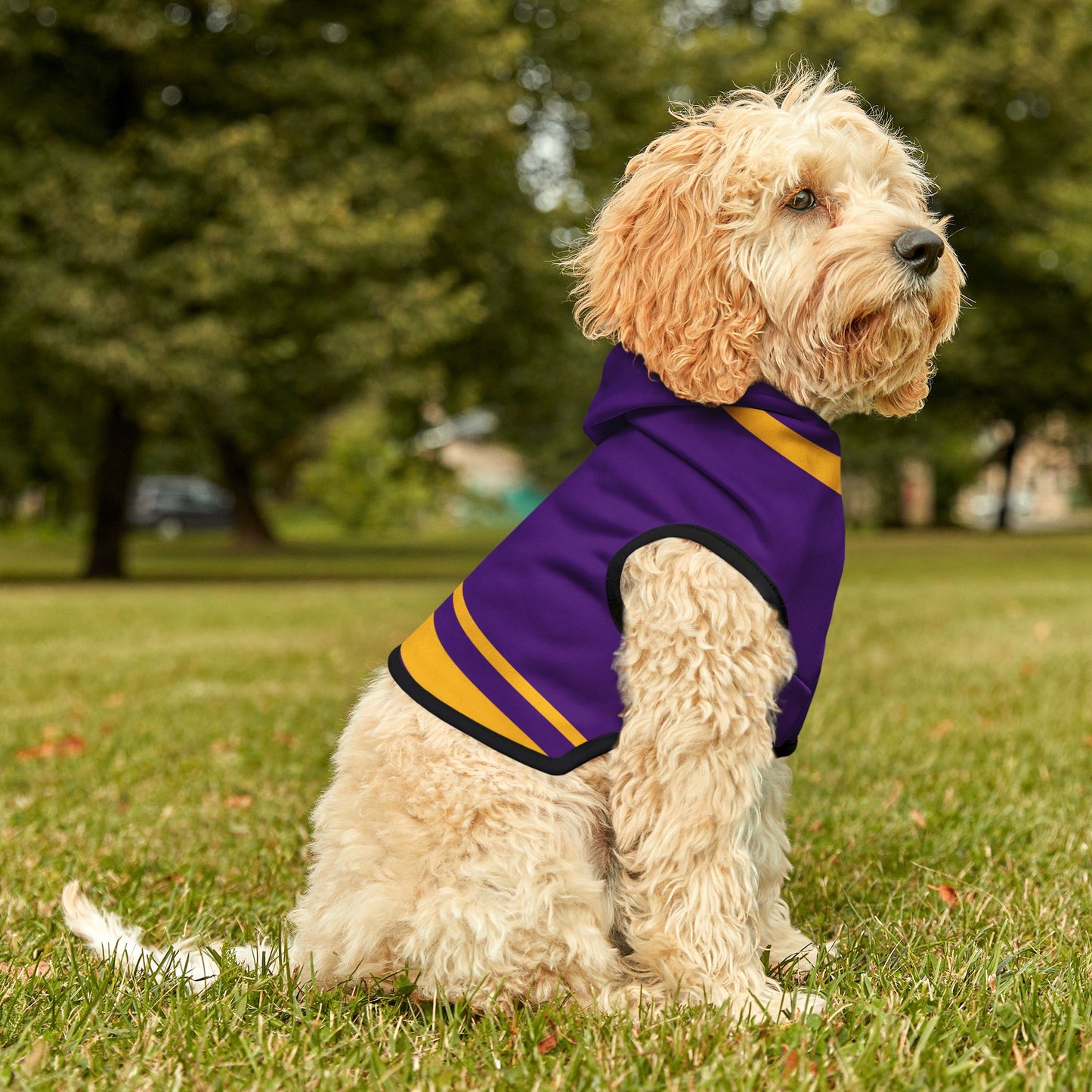 Mazant Pet Hoodie