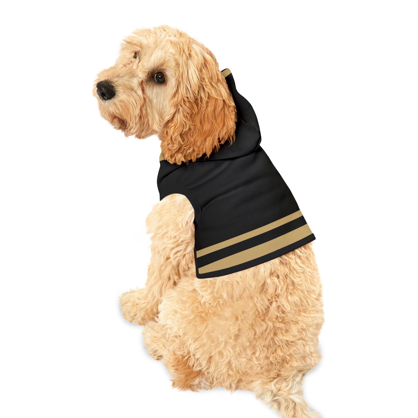 Charbonnet Pet Hoodie