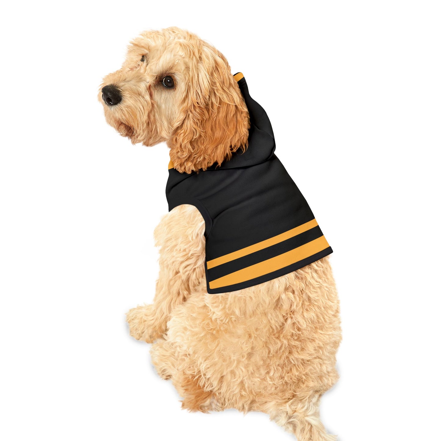 Chartres Pet Hoodie