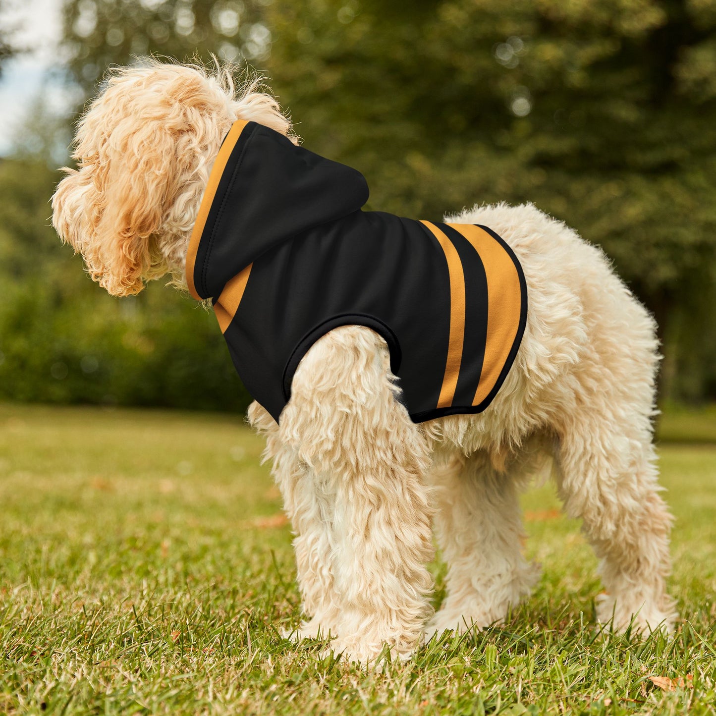 Chartres Pet Hoodie