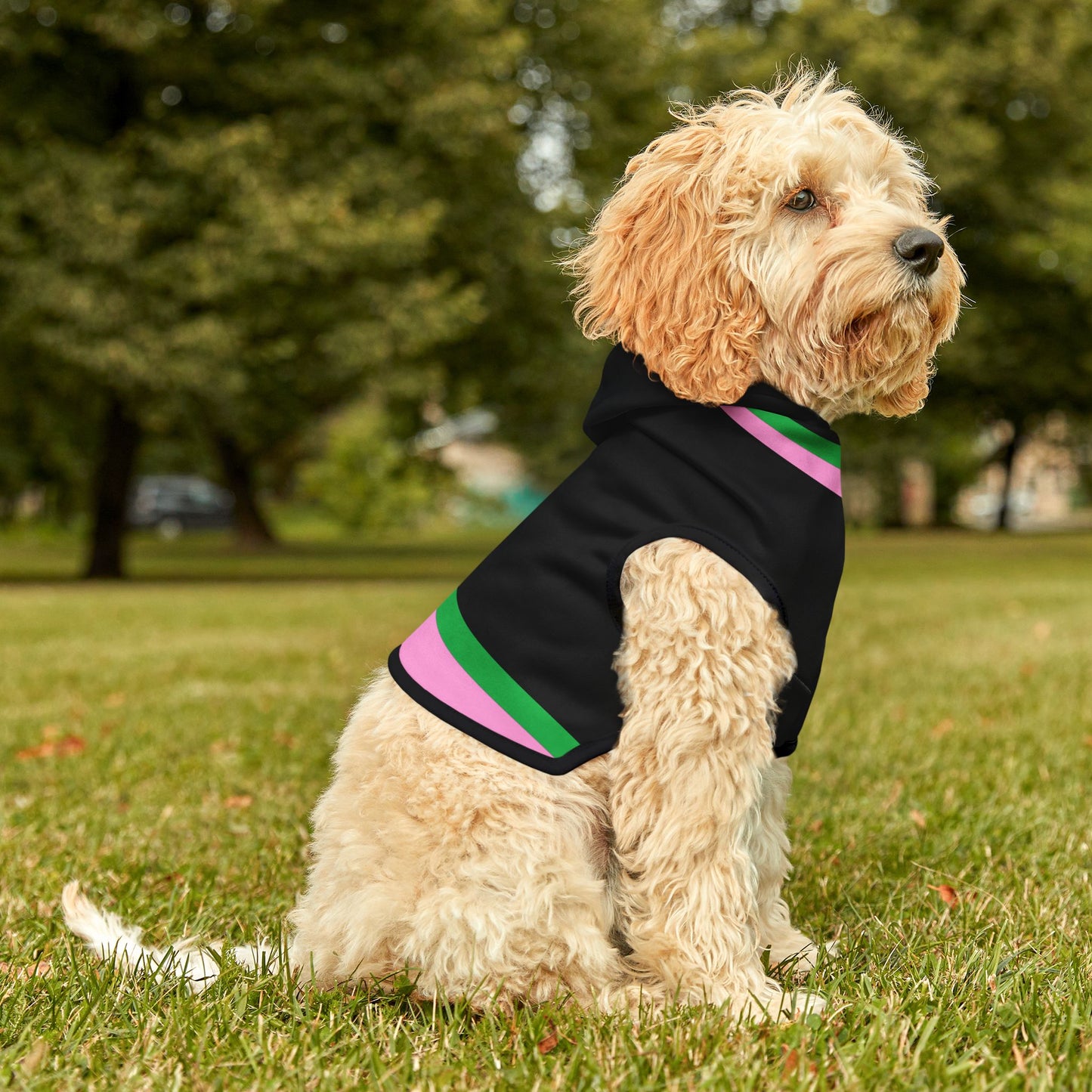Lacombe Pet Hoodie