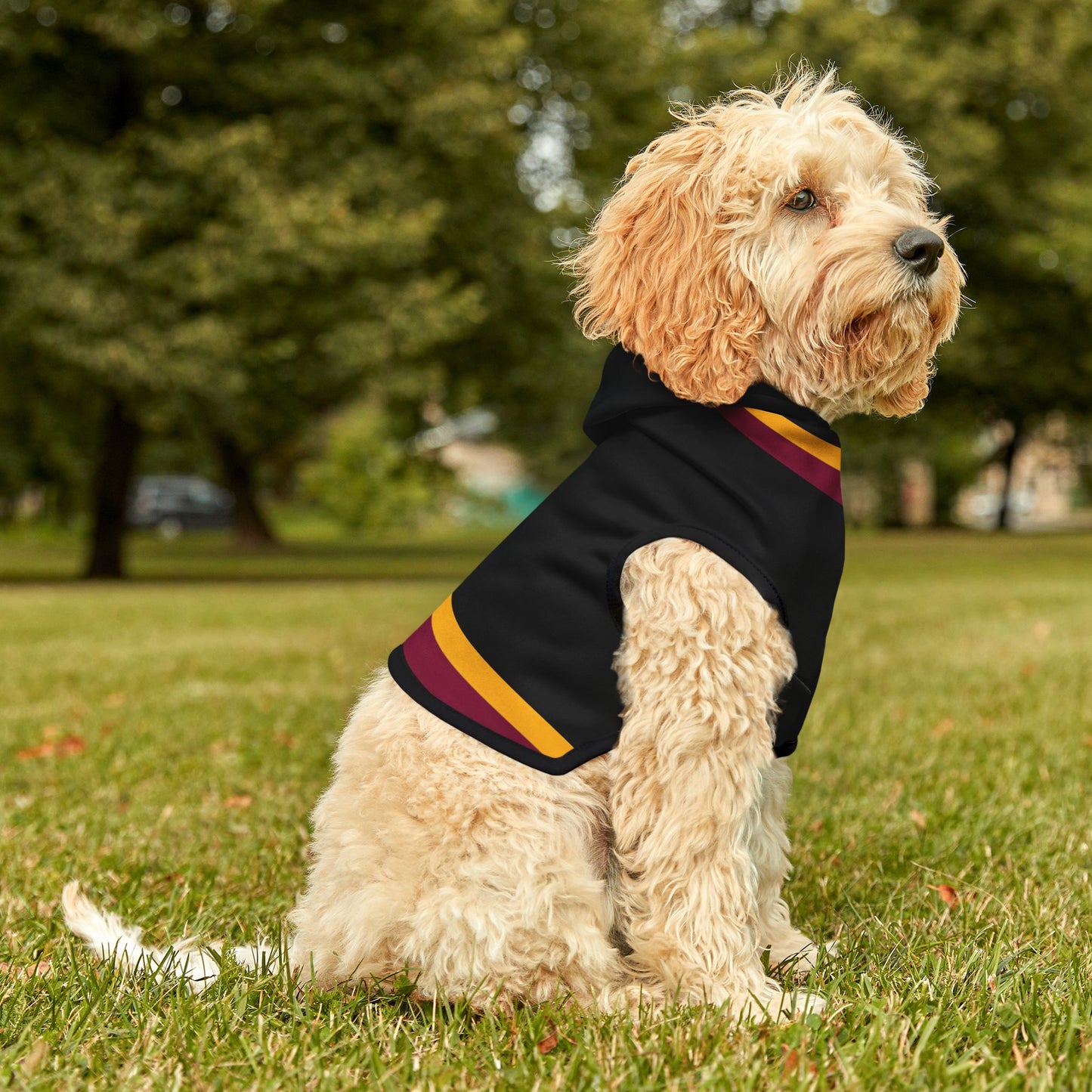 Warfield Pet Hoodie