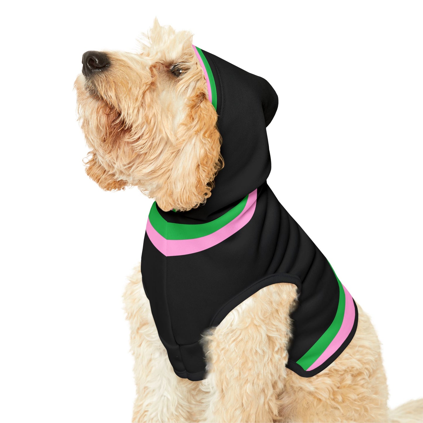 Lacombe Pet Hoodie